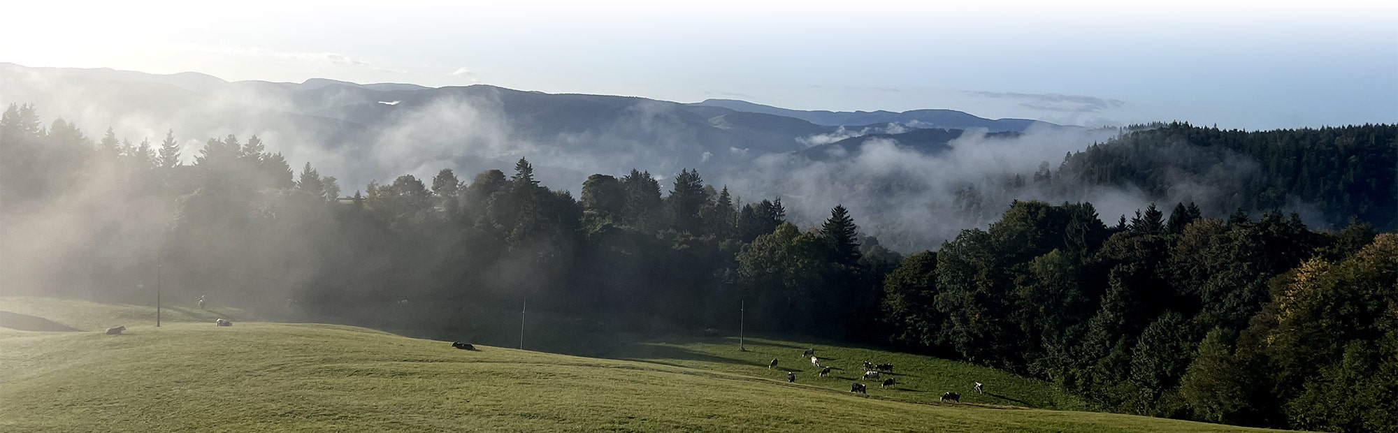 sjour en maison d'htes dans les Vosges, location chambre d'htes dans les hautes vosges